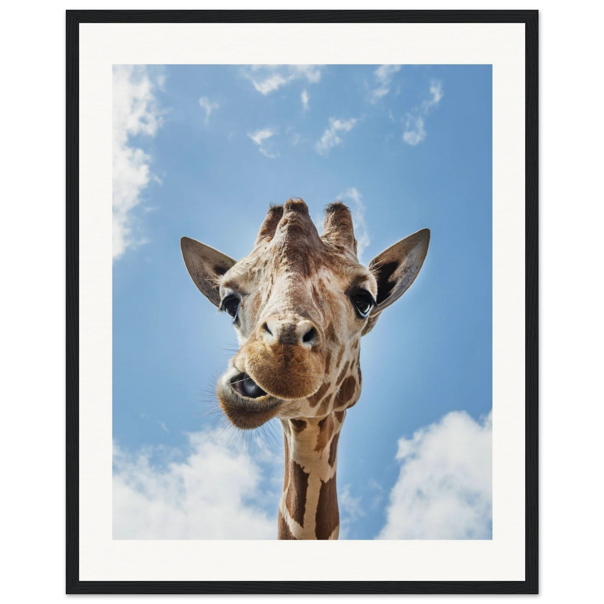 f8f1b1fc-f83c-4d0d-a790-9d361a7ce020