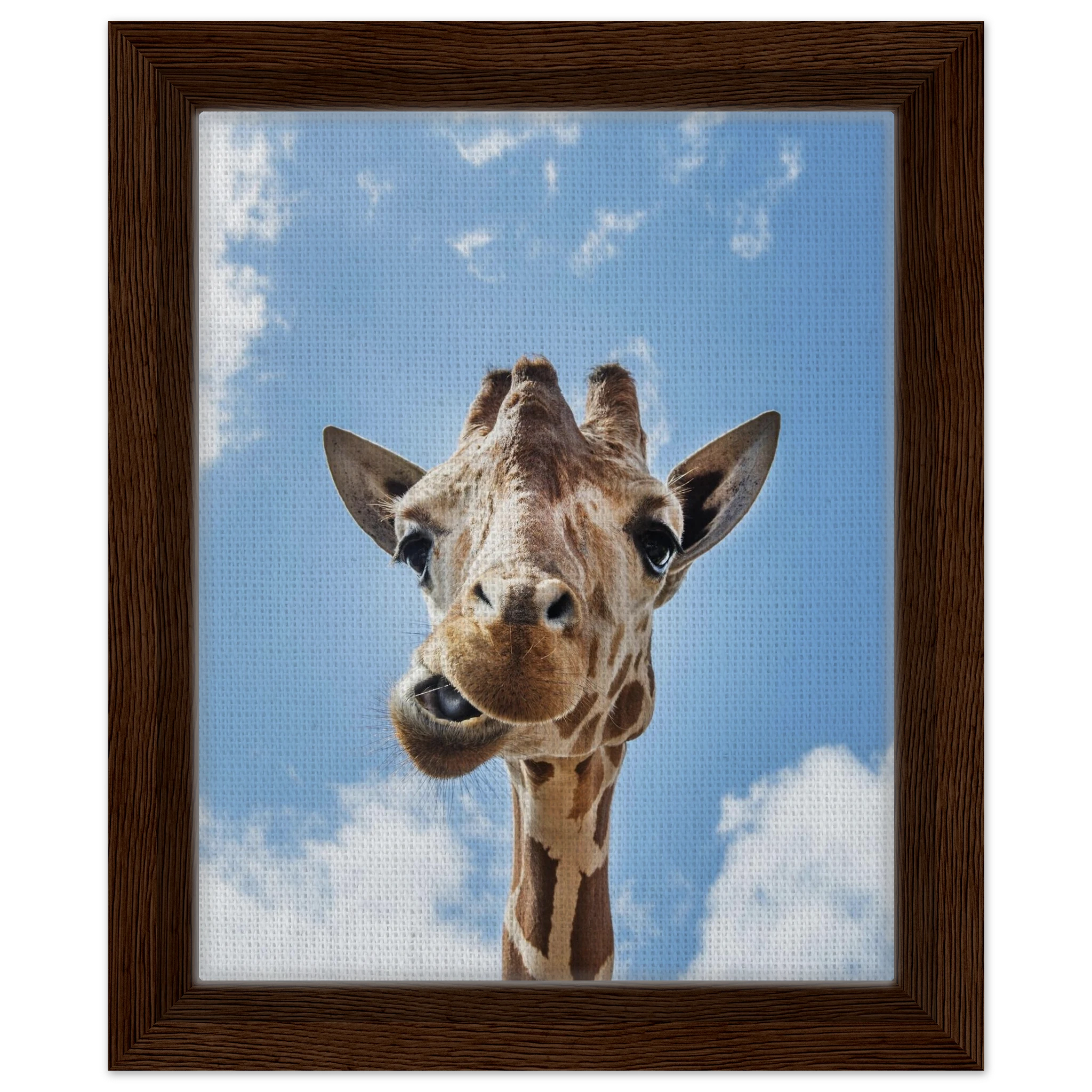 f97d8966-a71e-4959-b27d-54515da18829