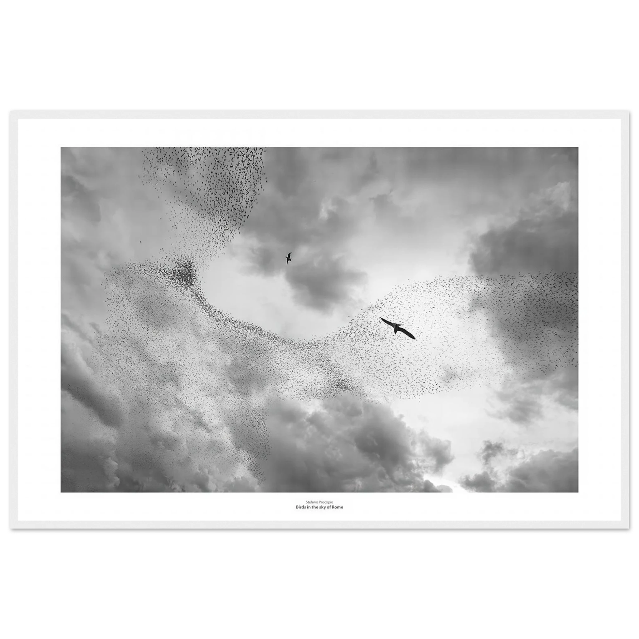 fa9199ce-3ff0-4ccb-bd1f-d05862ef2147