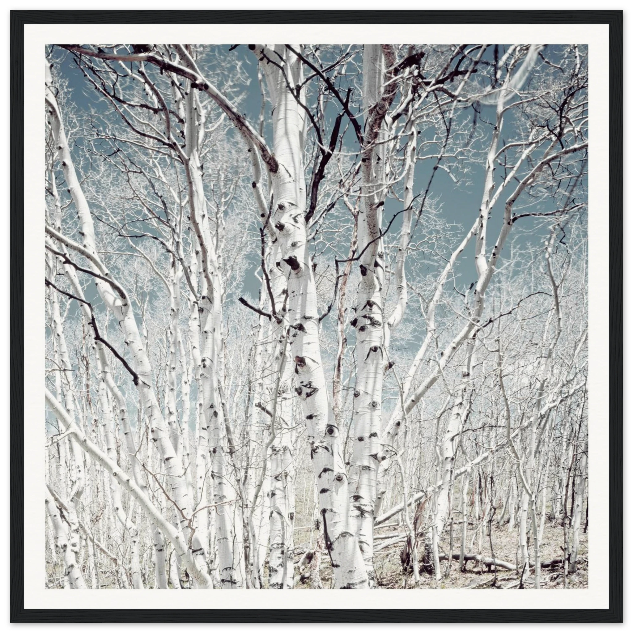 faaf0e9f-a2b1-4d40-8ad2-42e127686090