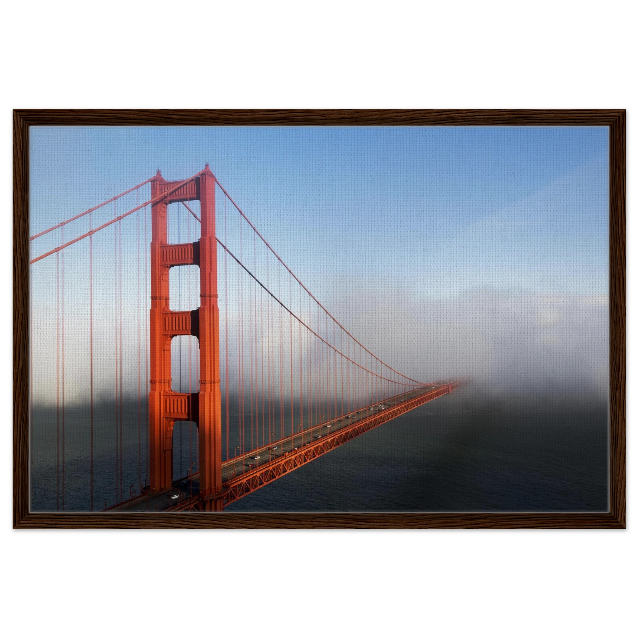 fe44f3e1-1aa1-492e-84fb-5b2f8ac6db71