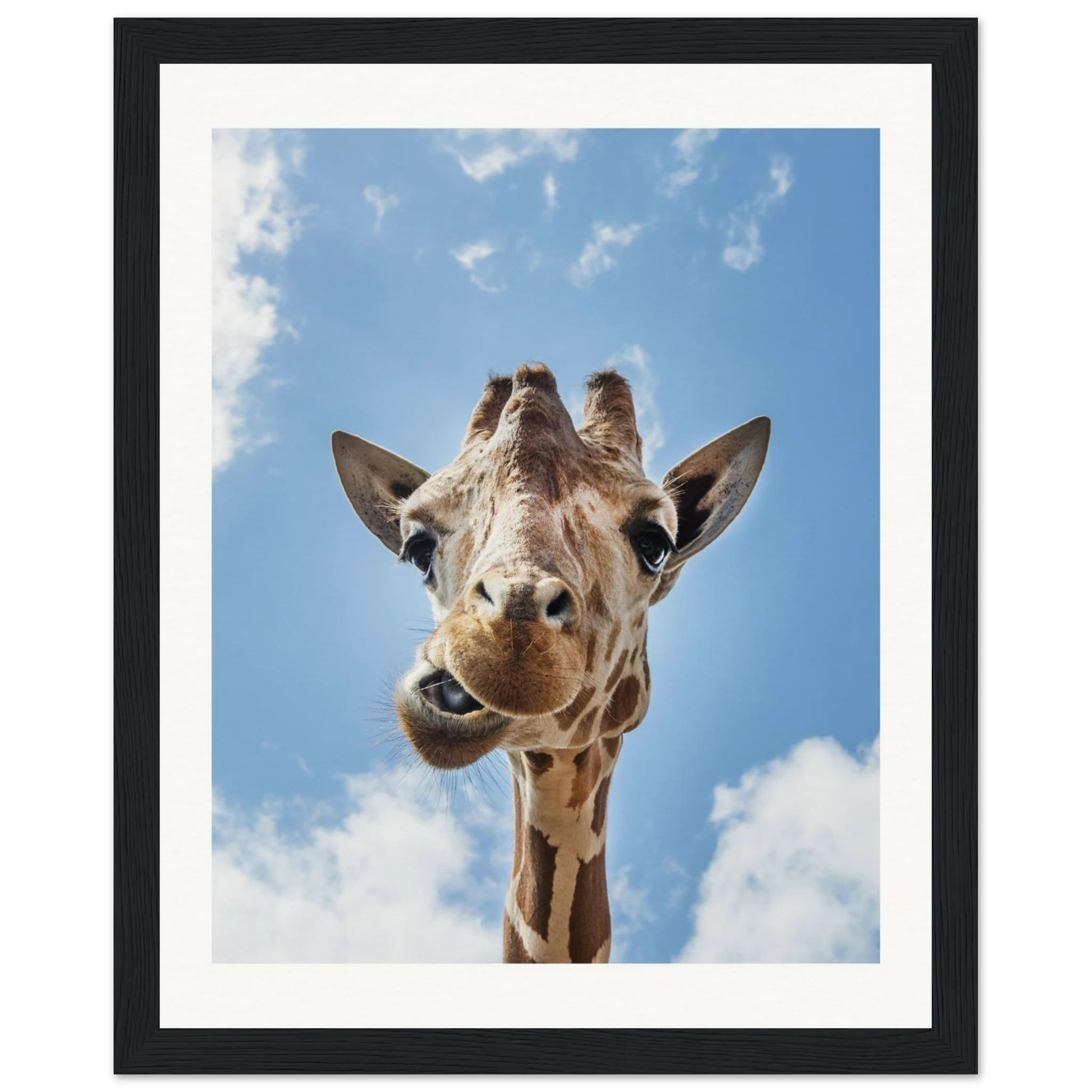 fe9e8586-fcc5-4338-8271-a69fa5b81a7d